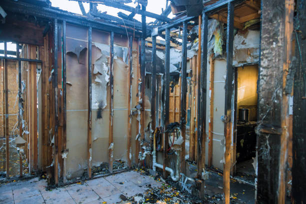 Professional Smoke Damage Removal technician working in Issaquah, WA