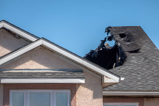 Top rated local Smoke Damage Removal specialists in Issaquah, WA
